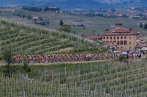 Cyclists in the Giro dItalia passing vineyards by the castle of Barolo Piemonte Italy