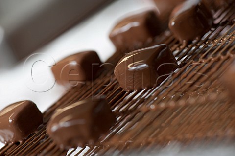 Making chocolates at Maison Guinguet SainteColombedeDuras LotetGaronne France