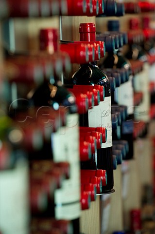 Bottles on display in the Maison du Vin of Saintmilion Gironde France  Stmilion  Bordeaux