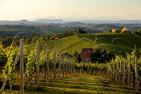 Vineyards on the hill of Gamlitzberg Steiermark Austria Sdsteiermark