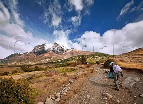 Hiker on trail towards Monte Almirante Nieto in the Torres Del Paine National Park Patagonia Chile