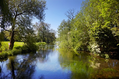 River Itchen at Twyford Hampshire England