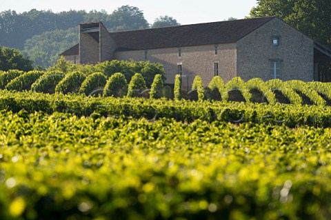 Chteau Cap de Faugres SainteColombe Gironde France  Ctes de Castillon  Bordeaux