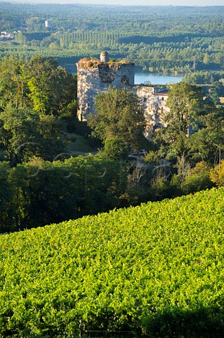Chteau de Langoiran and vineyard above the Garonne River Langoiran Gironde France   Premires Ctes de Bordeaux  EntreDeuxMers