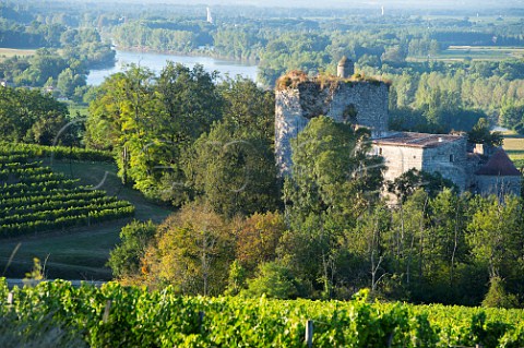 Chteau de Langoiran and vineyards above the Garonne River Langoiran Gironde France   Premires Ctes de Bordeaux  EntreDeuxMers