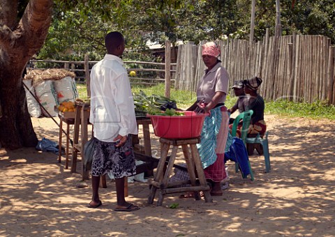 Woman with roadside stall selling fruit and vegetables Ponta do Ouro southern Mozambique