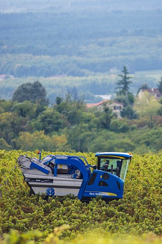 Machine harvesting in vineyard at Cardan Gironde France  Premires Ctes de Bordeaux  Bordeaux