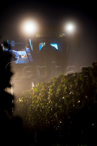 Machine harvesting in vineyard before sunrise  Capian Gironde France  Premires Ctes de Bordeaux