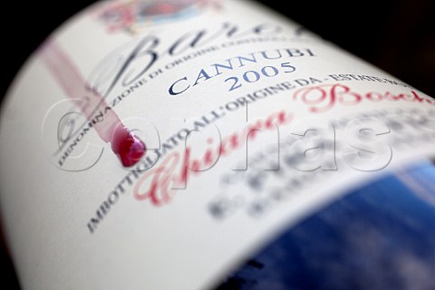Bottle of Cannubi 2005 Barolo of E Pira E Figli Barolo Piemonte Italy