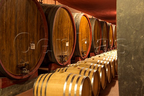 Botti and barrels in cellar of Beni di Batasiolo La Morra Piemonte Italy  Barolo