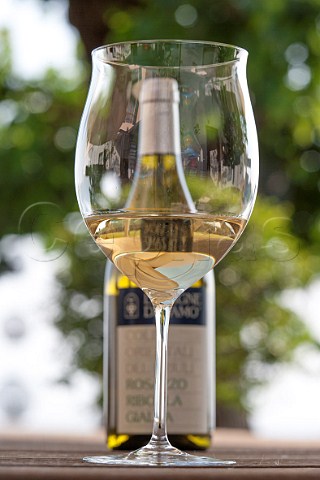 Bottle and glass of Ribolla Gialla at Le Vigne di Zam Rosazzo Friuli Italy Colli Orientali del Friuli