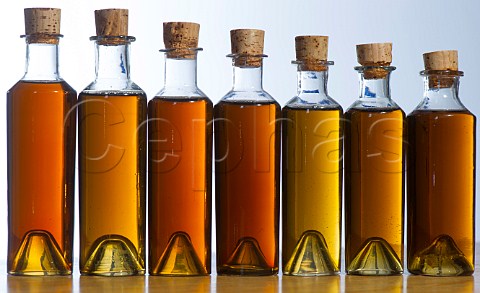 Samples of old Cognac of different ages