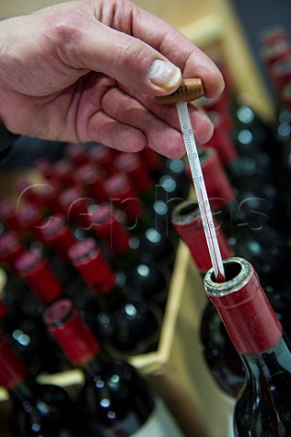 Checking temperature of bottle of red wine before serving Bordeaux France