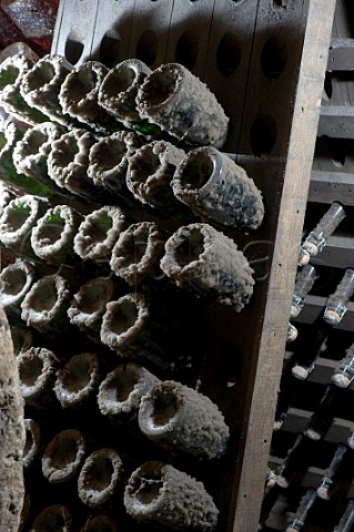 Bottles of Crmant de Bordeaux in pupitre in cellar of JeanLouis Ballarin Haux near Langoiran Gironde France  Crmant de Bordeaux