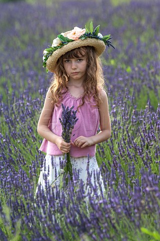 Young girl in lavender field Vignale Monferrato Piemonte Italy