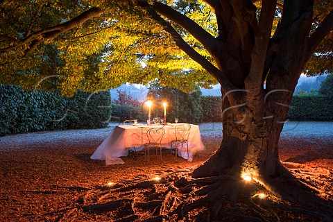 Dining table laid for four in an Italian garden