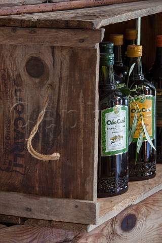 Bottles of Extra Virgin olive oil from Olio Carli Oneglia Liguria Italy