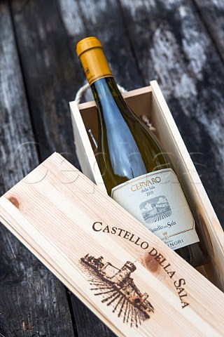 Bottle of Antinori Cervaro della Sala Castello Della Sala Sala Umbria Italy