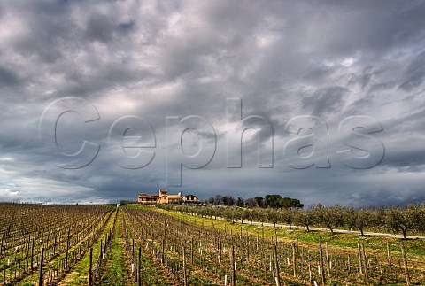 Winery and vineyard of Arnaldo Caprai Montefalco Umbria Italy   Sagrantino di Montefalco