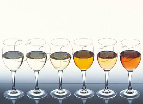 6 white wines showing difference in colours