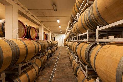 Barrel cellar of Arnaldo Caprai Montefalco Umbria Italy  Sagrantino di Montefalco