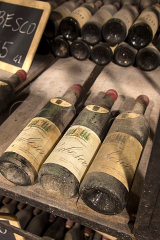 Bottles of 1962 Rubesco  its first vintage  in the cellar of Lungarotti  Torgiano Umbria Italy