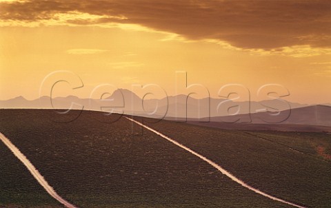 Sunrise over the Gibalbin vineyard of Antonio Barbadillo Gibalbin Andaluca Spain