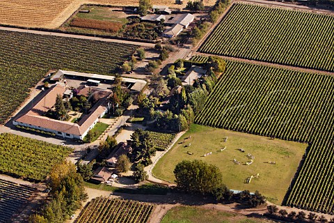 Viu Manent winery and vineyards with tourism centre restaurants and equestrian school  Colchagua Valley Chile