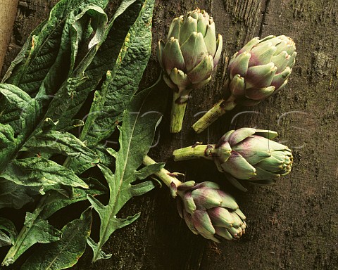 Artichokes