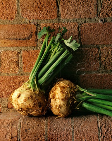 Celeriac