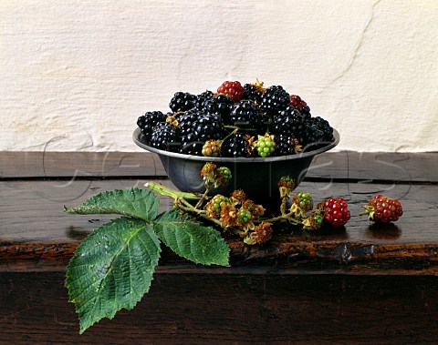 Blackberries