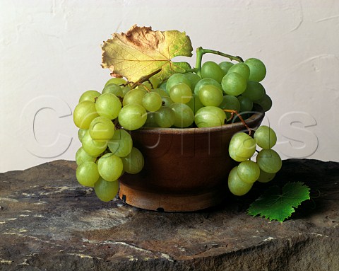 Grapes