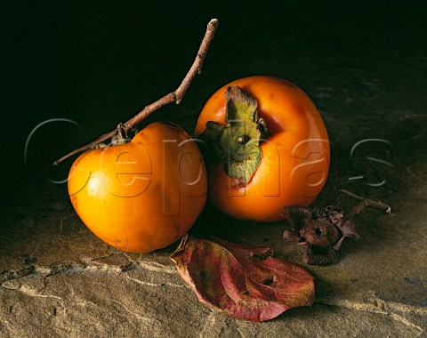 Persimmons