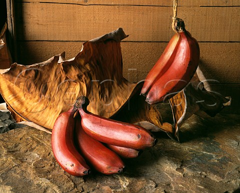 Red Bananas