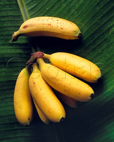 Bananas