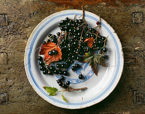 Blackcurrants