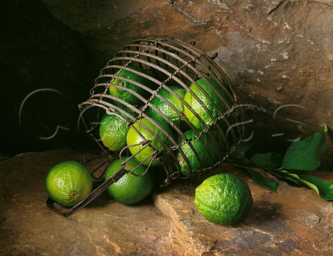 Limes