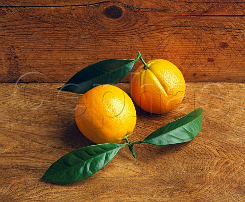 Oranges