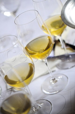 Tasting En Primeur wines of the 2012 vintage at Chteau La Tour Blanche Bommes Gironde France  Sauternes  Bordeaux