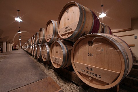 Barrel cellar in La Sablire winery of Domaine Louis Jadot Beaune Cte dOr France