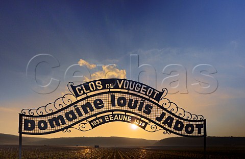 Sunset over the Clos de Vougeot with sign for Domaine Louis Jadot  Vougeot Cte dOr France  Cte de Nuits Grand Cru