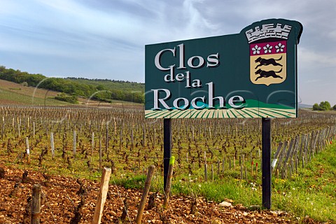 Clos de la Roche vineyard in early spring MoreyStDenis Cte dOr France  Cte De Nuits Grand Cru
