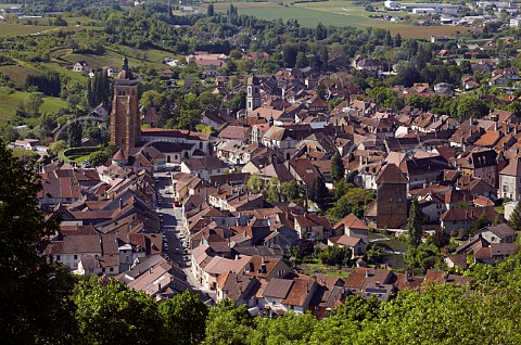 Town of Arbois viewed from Belvdre de lHermitage Jura France