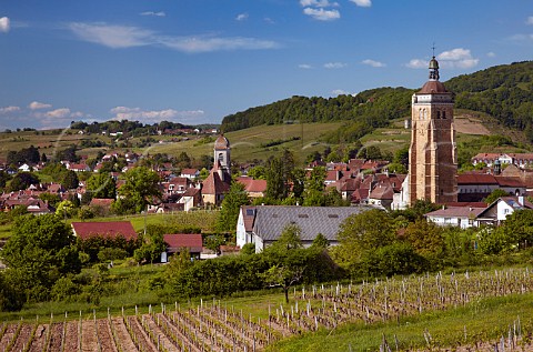 Chardonnay and Pinot Noir vineyards at En Paradis above the church of StJust Arbois Jura France