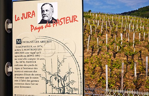 Louis Pasteurs Clos de Rosires vineyard now owned by Socit Henri Maire MontignylsArsures near Arbois Jura France