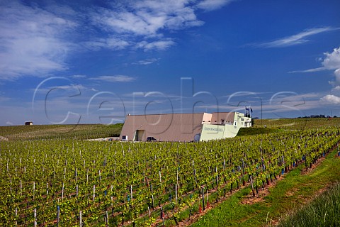 Chais des Bruyres winery of Domaine Jacques Tissot  Arbois Jura France