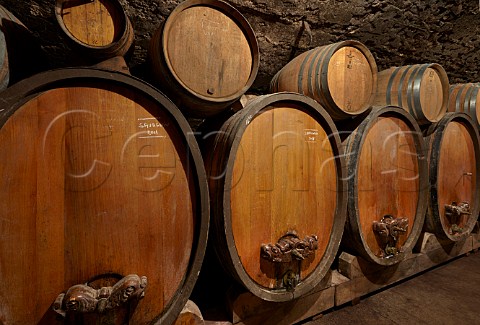 Foudres of Savagnin and barrels of Pinot Noir in cellar of Jacques Puffeney MontignylsArsures Jura France Arbois