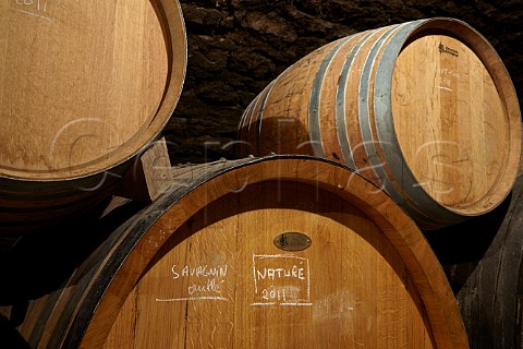 Foudre of Savagnin Natur and barrels of Pinot Noir in cellar of Jacques Puffeney MontignylsArsures Jura France Arbois