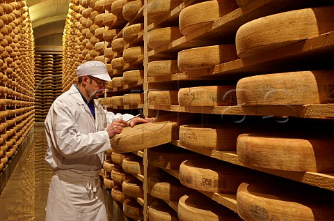 Mr Claude Querry tapping with a small hammer to check quality and development of Comt cheese in the cellars of Fromageries Marcel Petite 100000 wheels age here at any one time Fort Saint Antoine near Malbuisson Doubs France