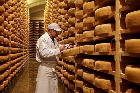 Mr Claude Querry tapping with a small hammer to check quality and development of Comt cheese in the cellars of Fromageries Marcel Petite 100000 wheels age here at any one time Fort Saint Antoine near Malbuisson Doubs France